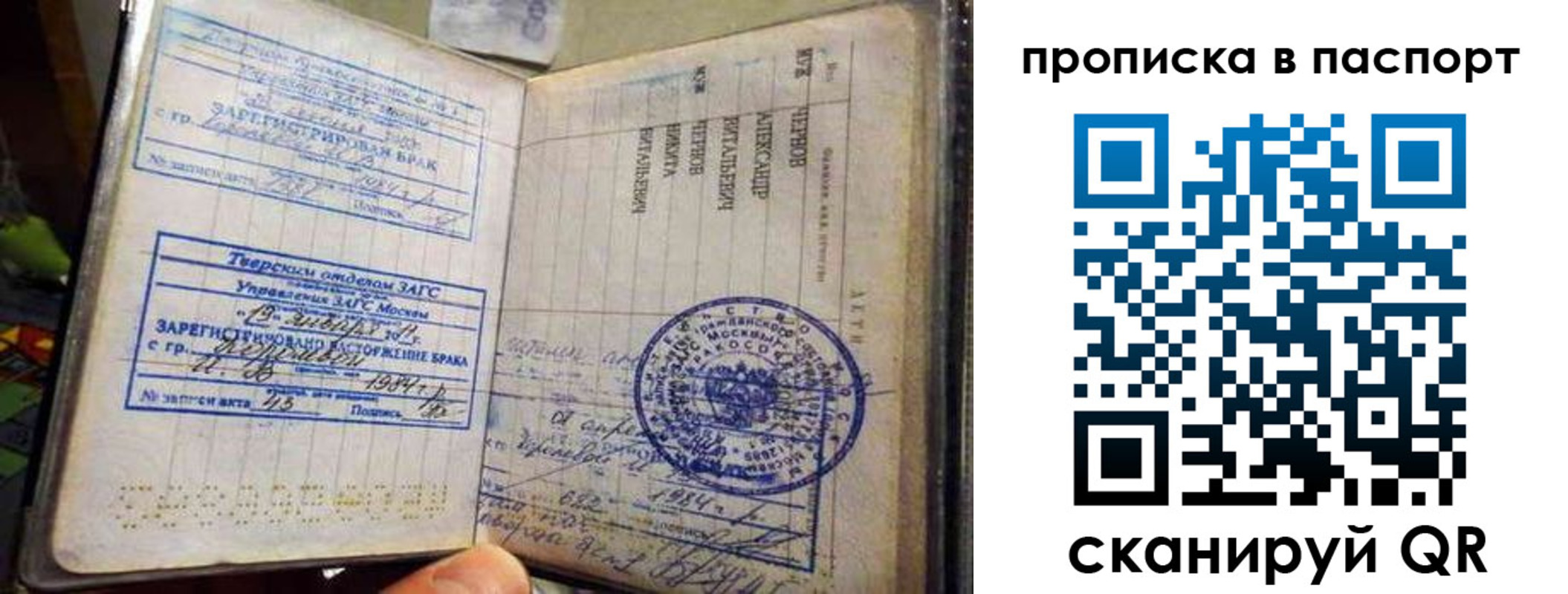 прописка поиск в Котово